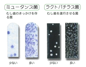 オーラルテスター