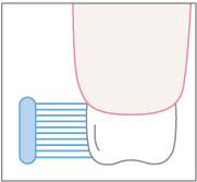 ブラッシングのポイント