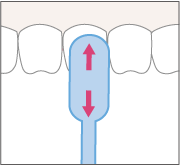 ブラッシングのポイント