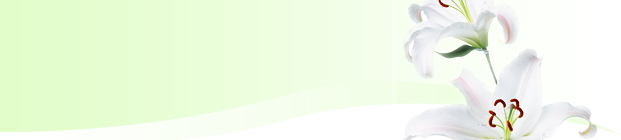 ホワイトニング