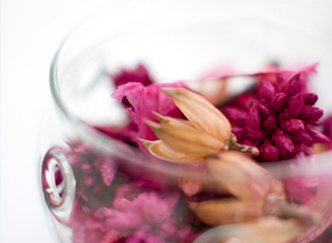 みつはし歯科・矯正歯科イメージ