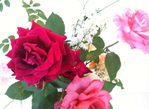 みつはし歯科・矯正歯科イメージ