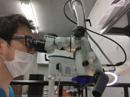 みつはし歯科・矯正歯科イメージ