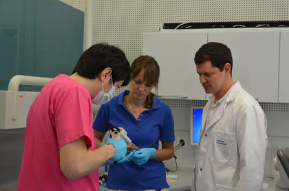 2011年リヒテンシュタイン、ドイツ、スイス義歯海外研修